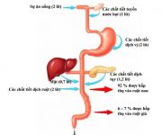 Học thuyết kinh lạc - những điều cần biết