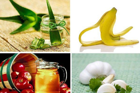 Có nhiều phương pháp dân gian hỗ trợ chữa sùi mào gà ở miệng hiệu quả