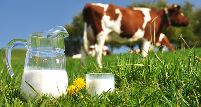 Sữa bò gây nổi mề đay, dị ứng da ở trẻ nhỏ